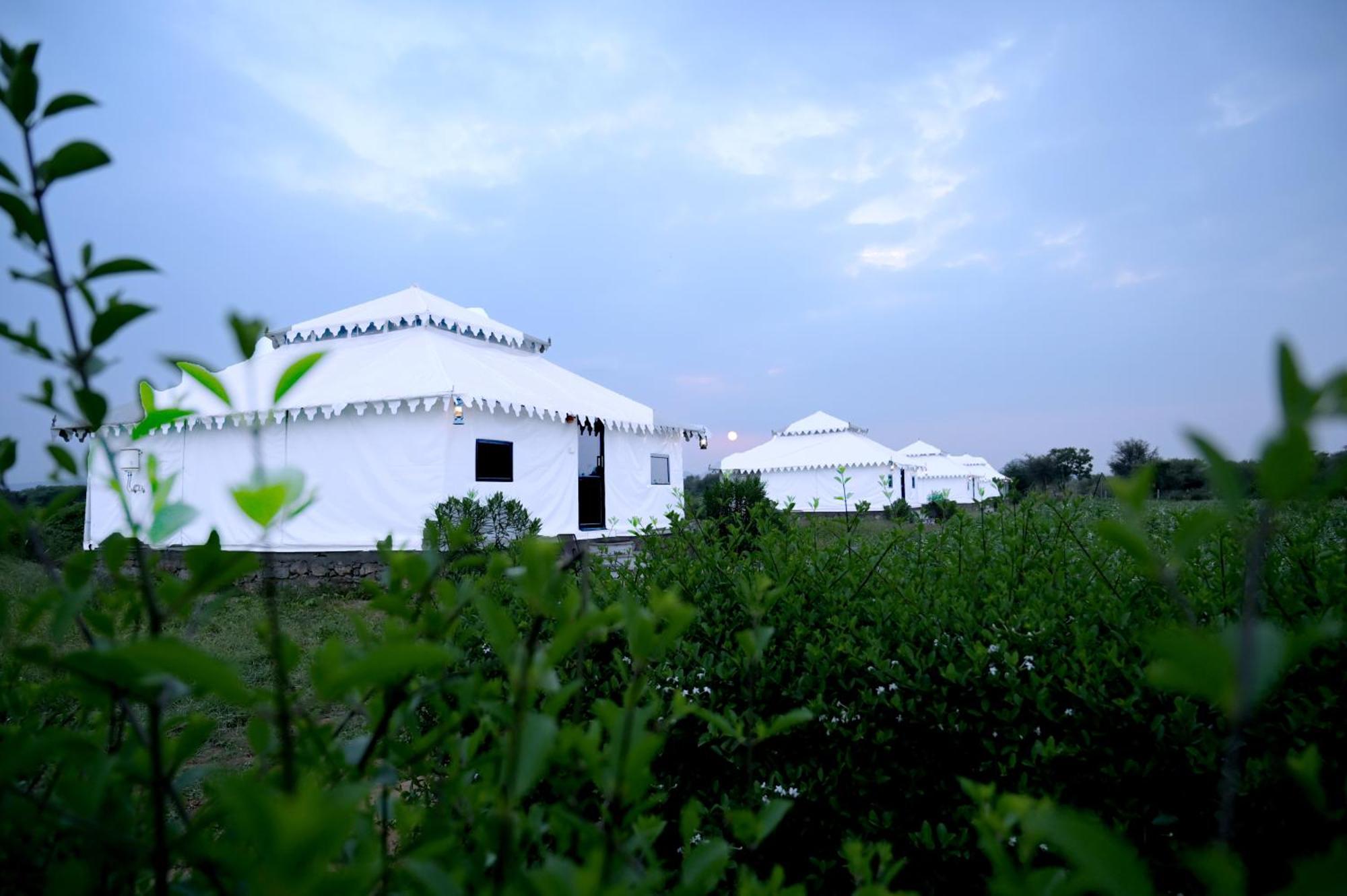 The Bagheera Bagh Jawai Hotel Bera Екстериор снимка